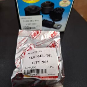 51391 sel t01 rbi 1